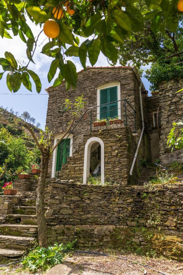 Villa Smith Vernazza Extérieur photo